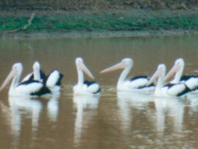  Accommodation Brisbane