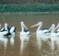 Pelican Point - Accommodation Brisbane