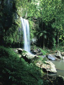Curtis Falls, Joalah Section - Accommodation Brisbane 0