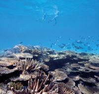 Australian Institute of Marine Science - Accommodation Brisbane