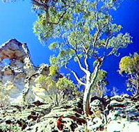 Mount Moffatt Section - Carnarvon National Park - Accommodation Brisbane