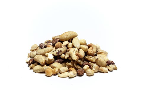 Nutworks - Accommodation Brisbane 2