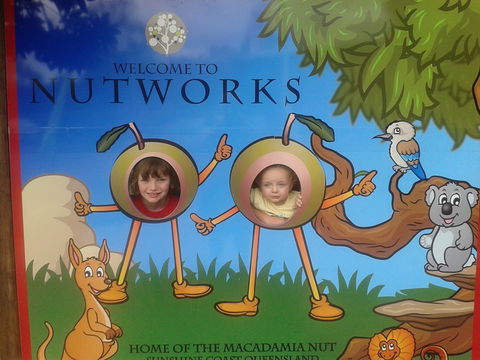 Nutworks - Accommodation Brisbane 4