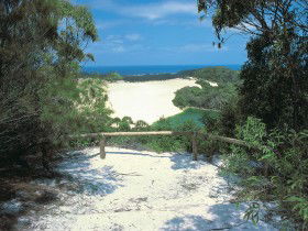 Lake Wabby Track - Accommodation Brisbane 0