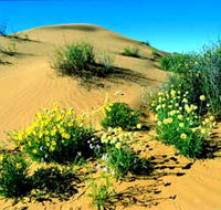 Simpson Desert National Park - Accommodation Brisbane