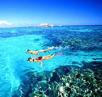 Great Barrier Reef Islands - Accommodation Brisbane