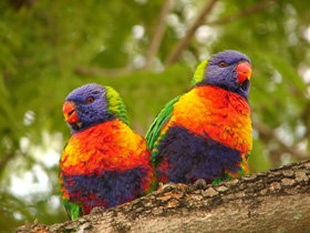 Middlemount QLD Accommodation Brisbane