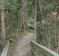 Springwood Conservation Park - Accommodation Brisbane