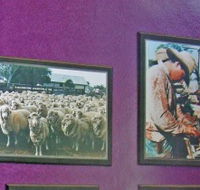 Charleville Photographic Display - Accommodation Brisbane