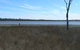 Lake Murphy Conservation Park - thumb 0