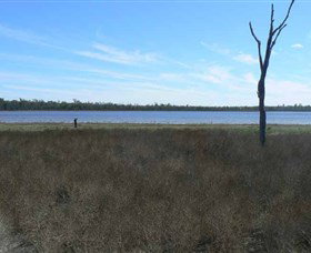 Lake Murphy Conservation Park - Accommodation Brisbane 0