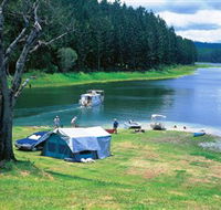 Danbulla National Park and Danbulla State Forest - Accommodation Brisbane