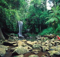 Tamborine National Park - Accommodation Brisbane