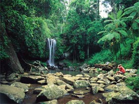 Tamborine National Park - Accommodation Brisbane 0