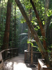 Basin Lake Track - Accommodation Brisbane 0