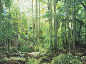 Python Rock - Accommodation Brisbane 0