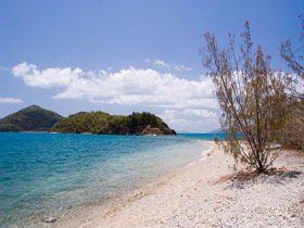 Paddle Bay Track And Campsite - Accommodation Brisbane 0