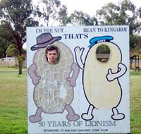 Kingaroy Lions Park - Accommodation Brisbane