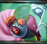 Kingaroy Shire Art Gallery - Accommodation Brisbane