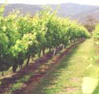 Girraween Estate - Accommodation Brisbane