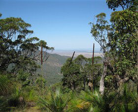 Zamia Walk - Accommodation Brisbane 0