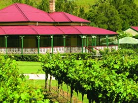 OReillys Canungra Valley Vineyards - Accommodation Brisbane 0