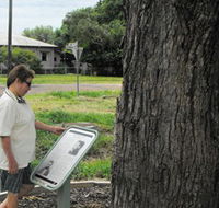 Augathella Kenniff Tree - Accommodation Brisbane