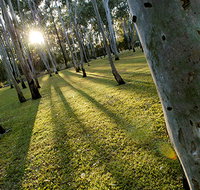 Tondoon Botanic Gardens - Accommodation Brisbane
