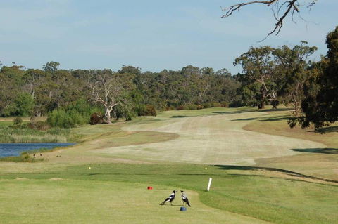 Devilbend Golf Club - Accommodation Brisbane 1
