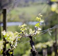 Dalfarras - Accommodation Brisbane