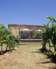 Shantell Vineyard - Accommodation Brisbane 0