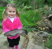 Wild Food Farm  Cafe - Accommodation Brisbane