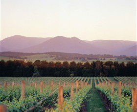 Domaine Chandon - Accommodation Brisbane 0