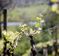 Downing Estate - Accommodation Brisbane