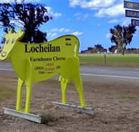 Locheilan Farmhouse Cheese - Accommodation Brisbane