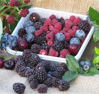 Bright Berry Farms - Accommodation Brisbane