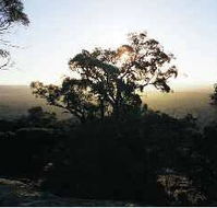 Yarra Flats - Accommodation Brisbane