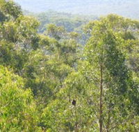 Bunyip State Park - Accommodation Brisbane