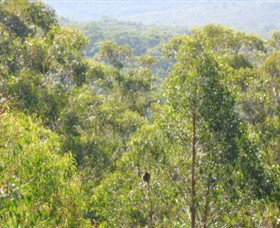 Bunyip State Park - Accommodation Brisbane 0