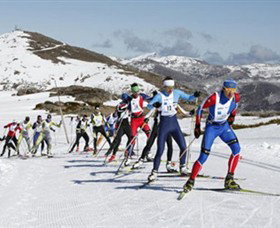 Bogong VIC Accommodation Brisbane