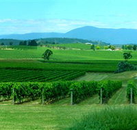 Acacia Ridge Vineyard - Accommodation Brisbane
