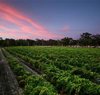Amherst Winery - Accommodation Brisbane