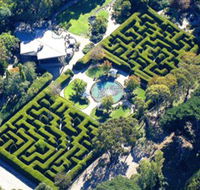 Ashcombe Maze  Lavender Gardens - Accommodation Brisbane