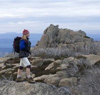 Mount Buffalo National Park - Accommodation Brisbane