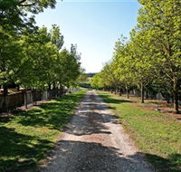 Waybourne Winery - Accommodation Brisbane