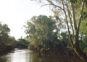 Banksia Park - Accommodation Brisbane 0