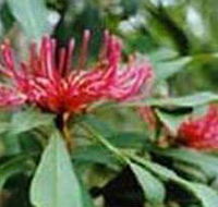 Alfred National Park - Accommodation Brisbane