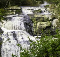 Agnes Falls Scenic Reserve - Accommodation Brisbane