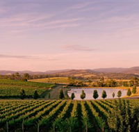 Oakridge Wines - Accommodation Brisbane