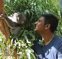 Healesville Sanctuary - Accommodation Brisbane
